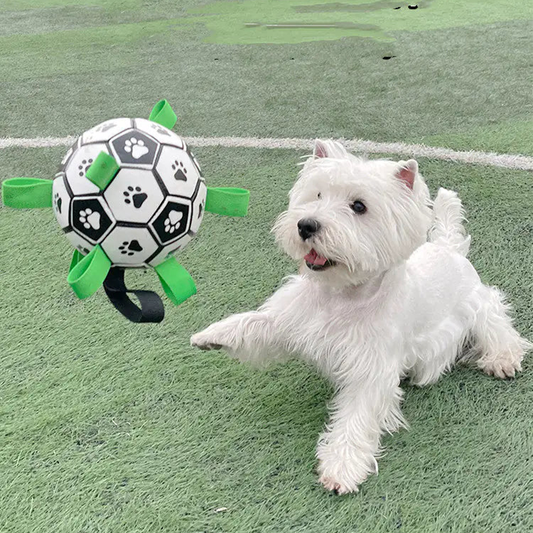 PawPal Soccer Ball