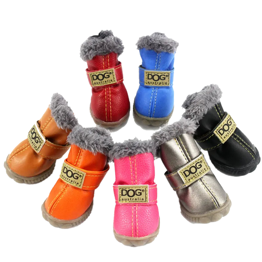 Bottes d'hiver Pawfect