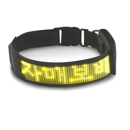 GlowTrack™ Bluetooth LED Dog Collar