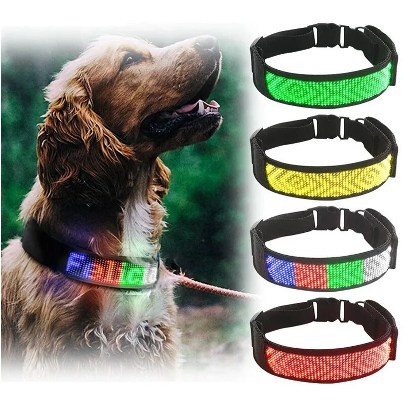GlowTrack™ Bluetooth LED Dog Collar