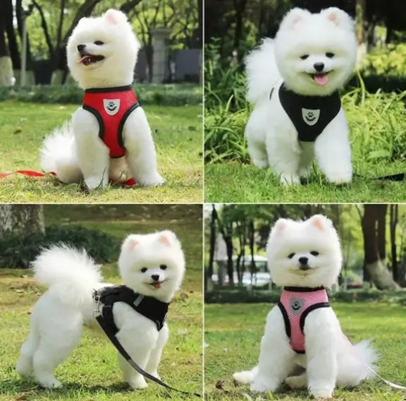 PawControl No-Pull Dog Harness