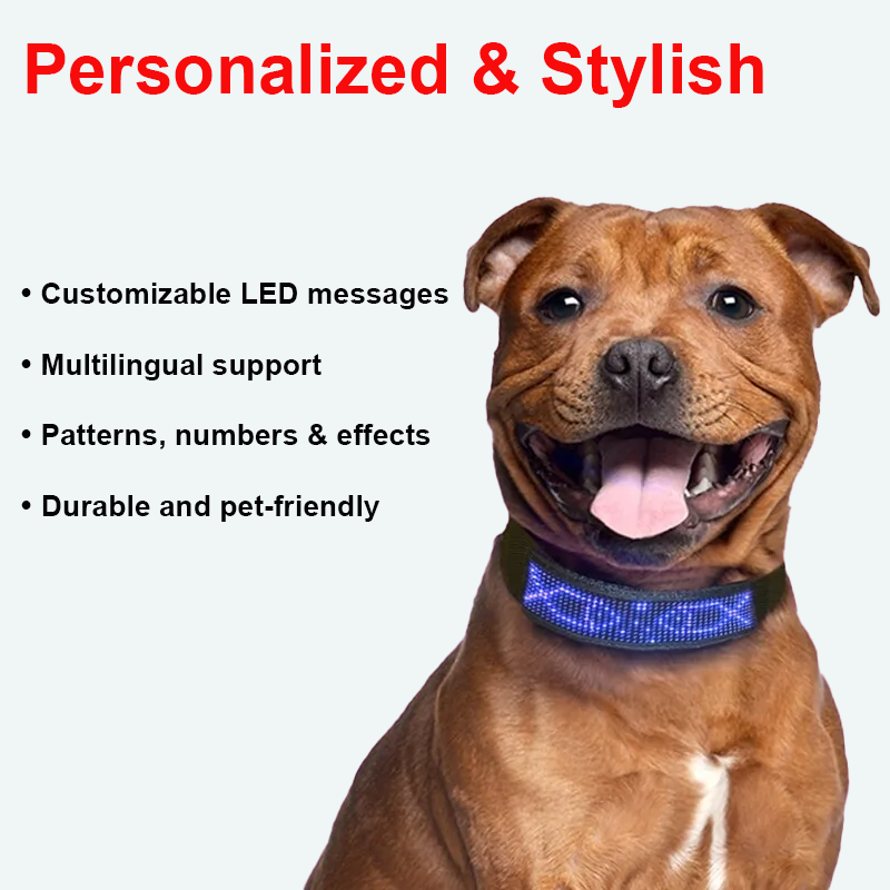 GlowTrack™ Bluetooth LED Dog Collar