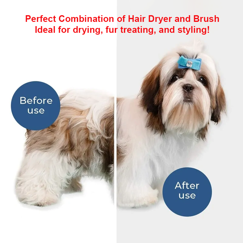 PawDry Pro Grooming Dryer & Brush