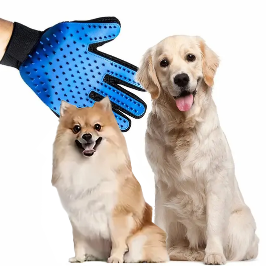 Gant de toilettage pour animaux de compagnie