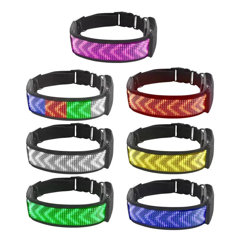 GlowTrack™ Bluetooth LED Dog Collar